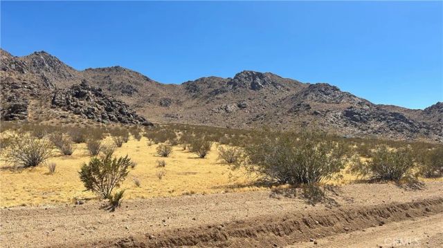 30455 Holmes Rd, Lucerne Valley, CA 92356