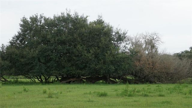 DURANT RD, Dover, FL 33527
