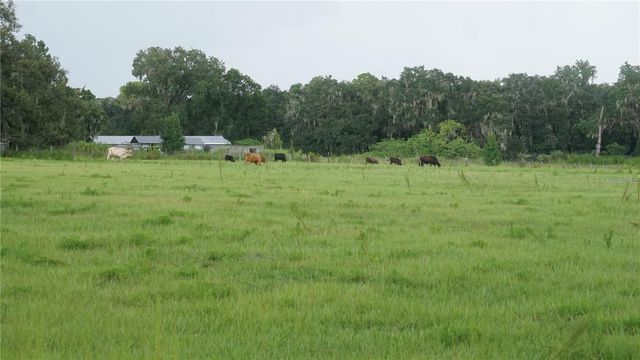 DURANT RD, Dover, FL 33527