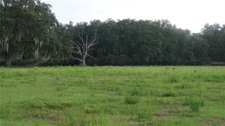 DURANT RD, Dover, FL 33527