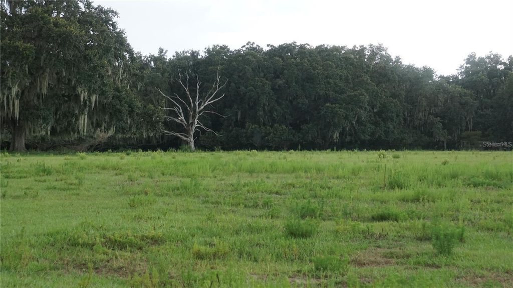 DURANT RD, Dover, FL 33527