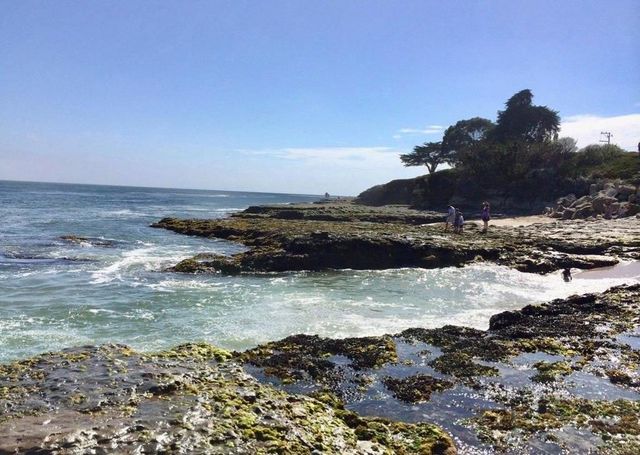 234 Plateau Avenue, Santa Cruz, CA 95060