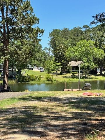 1339 Nightfall Lane, Summerton, SC 29148