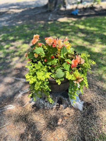 1339 Nightfall Lane, Summerton, SC 29148