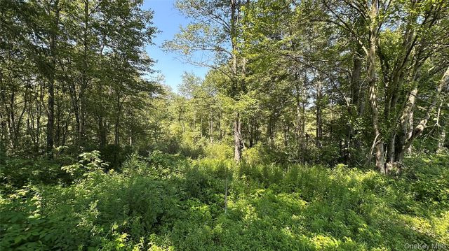3377 State Route 52, White Sulphur Spring, NY 12787