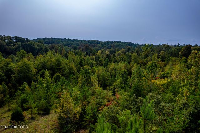 000 Shadden Rd, Tellico Plains, TN 37385