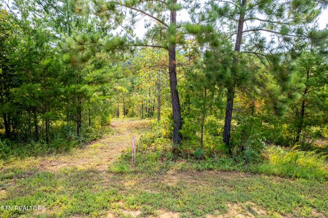 000 Shadden Rd, Tellico Plains, TN 37385