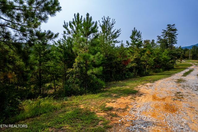 000 Shadden Rd, Tellico Plains, TN 37385
