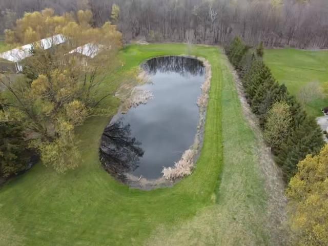 N5155 FRENCH ROAD, Seymour, WI 54165