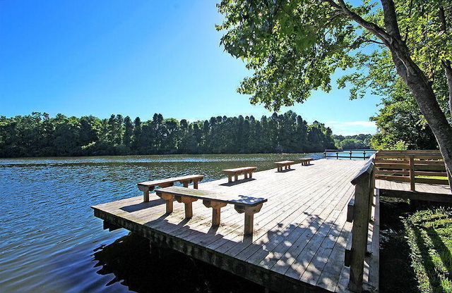 126 Fox Chase Drive, Goose Creek, SC 29445