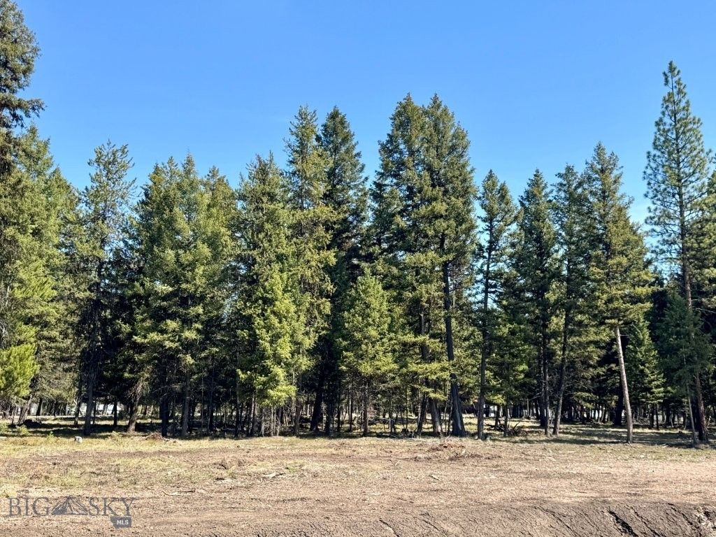 134 Nordic Way, Seeley Lake, MT 59868 photo 5