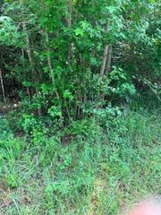 14388 Baxter Road, Conroe, TX 77306