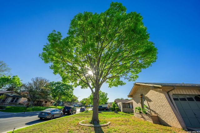 6723 Connie Mack, San Antonio, TX 78240