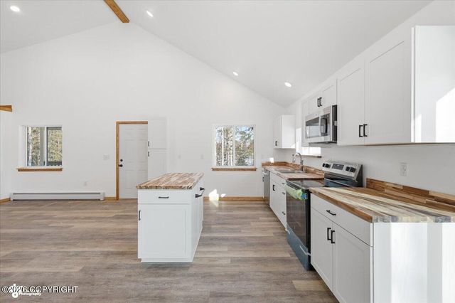 13862 W Halston Avenue, Big Lake, AK 99652