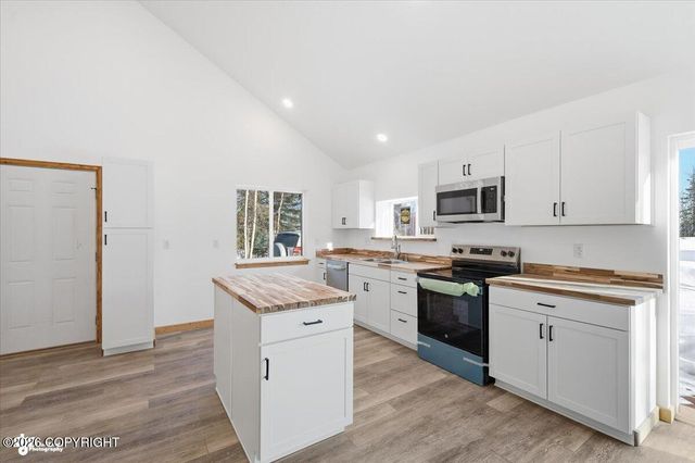 13862 W Halston Avenue, Big Lake, AK 99652