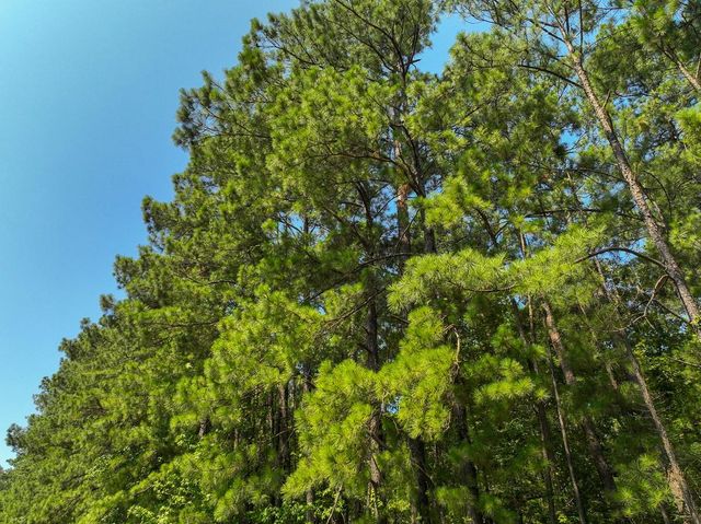 02 Highway 87, Milam, TX 75959