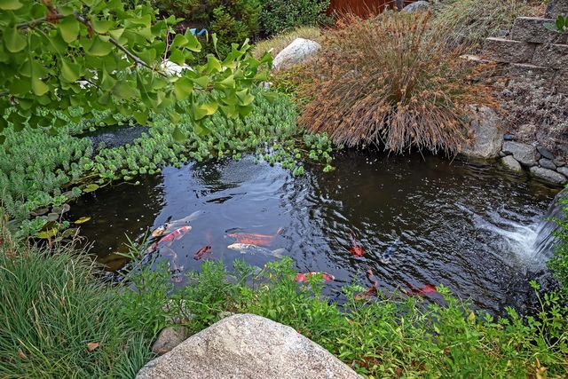 3497 Lambeth Dr, Rescue, CA 95672