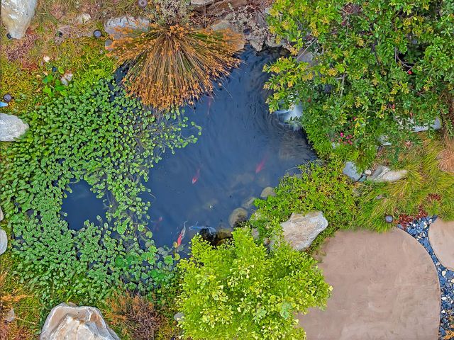 3497 Lambeth Dr, Rescue, CA 95672