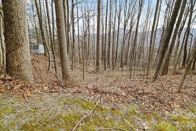 00 Sleepy Hollow Drive 6, Maggie Valley, NC 28751