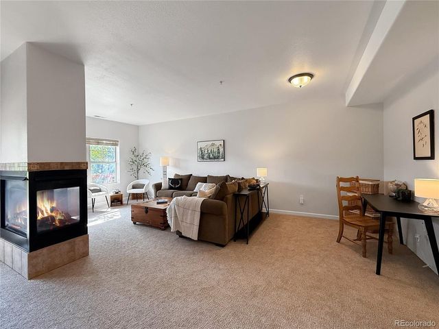 37 Waterside Ct C 206, Fraser, CO 80442