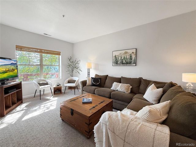 37 Waterside Ct C 206, Fraser, CO 80442