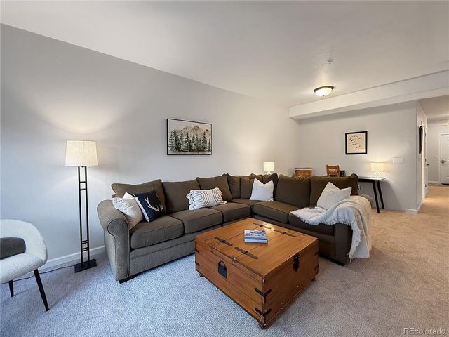 37 Waterside Ct C 206, Fraser, CO 80442