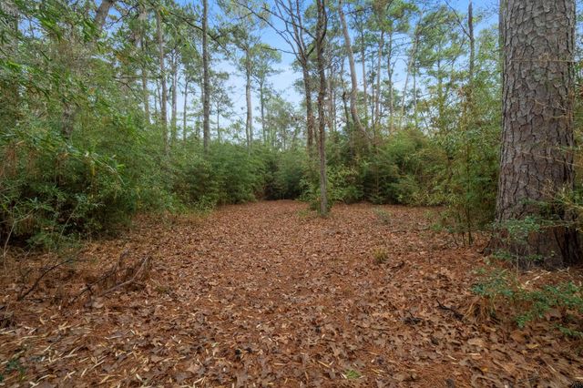 TBD Winding Hill, Magnolia, TX 77354