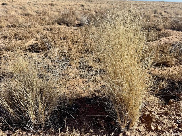 16 Fort Morgan Rd, Blanca, CO 81123