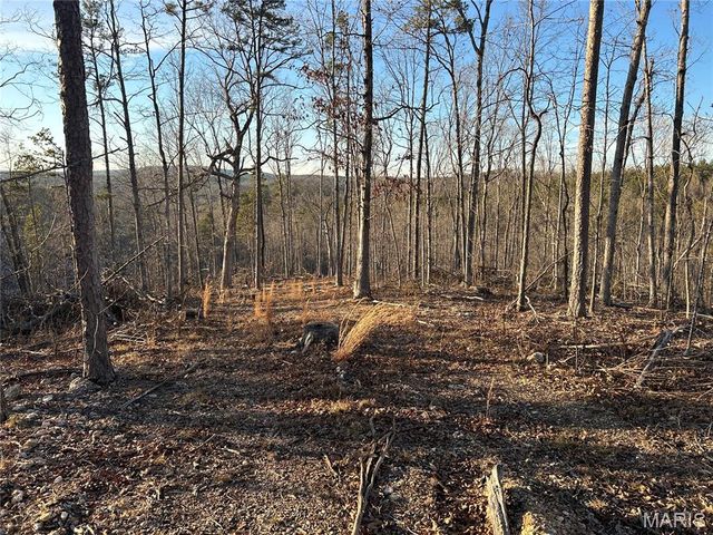 304 Madison CR 410, Fredericktown, MO 63645