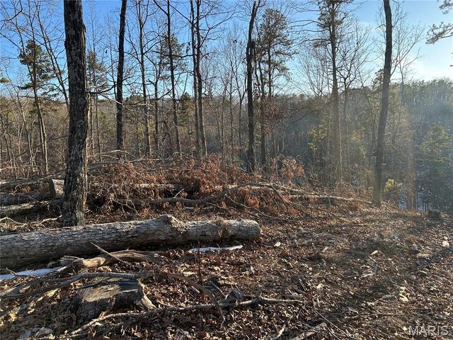 304 Madison CR 410, Fredericktown, MO 63645