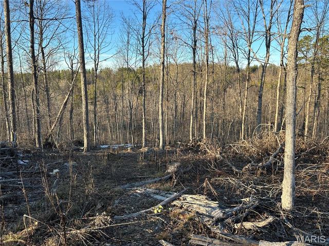 304 Madison CR 410, Fredericktown, MO 63645