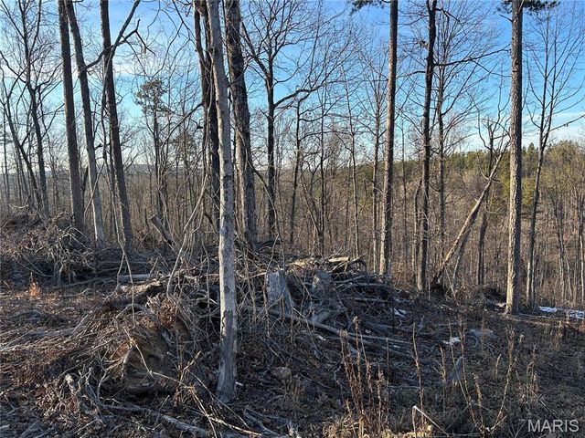 304 Madison CR 410, Fredericktown, MO 63645