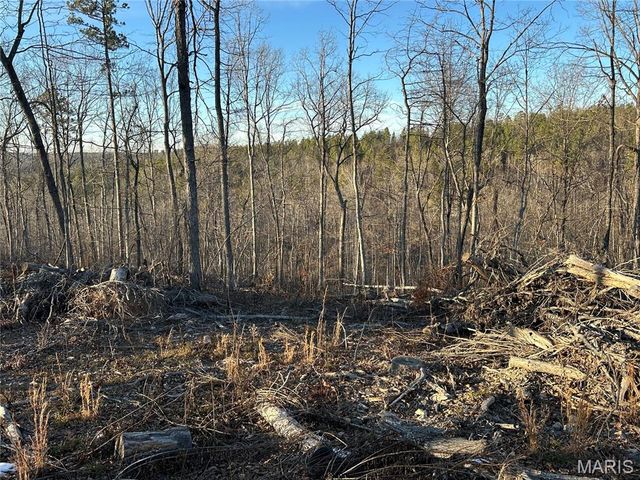 304 Madison CR 410, Fredericktown, MO 63645