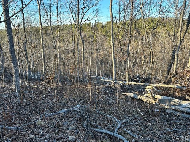 304 Madison CR 410, Fredericktown, MO 63645