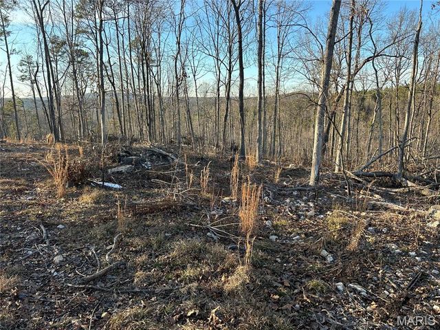 304 Madison CR 410, Fredericktown, MO 63645