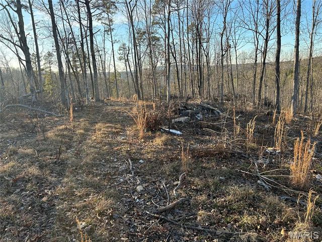 304 Madison CR 410, Fredericktown, MO 63645