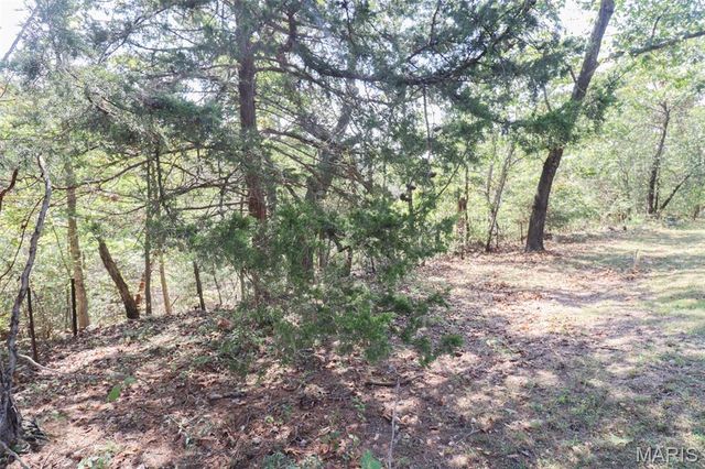 14390 Harvey Drive, Dixon, MO 65459