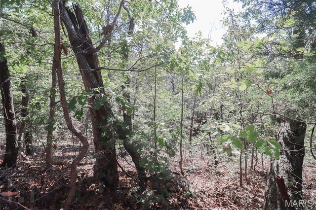 14390 Harvey Drive, Dixon, MO 65459