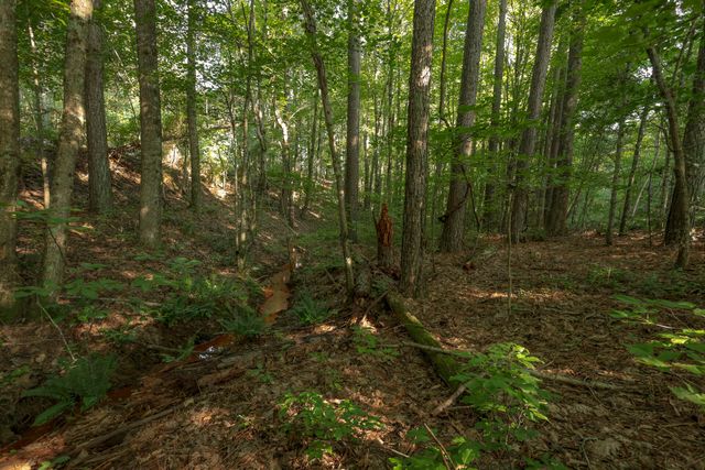 12315 Endless View, Soddy Daisy, TN 37379