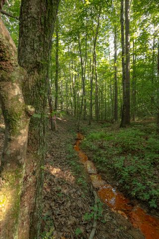 12315 Endless View, Soddy Daisy, TN 37379