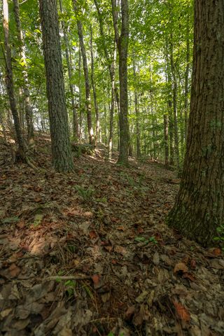 12315 Endless View, Soddy Daisy, TN 37379