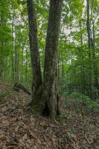 12315 Endless View, Soddy Daisy, TN 37379