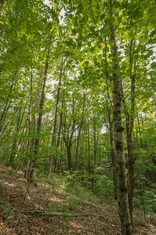 12315 Endless View, Soddy Daisy, TN 37379