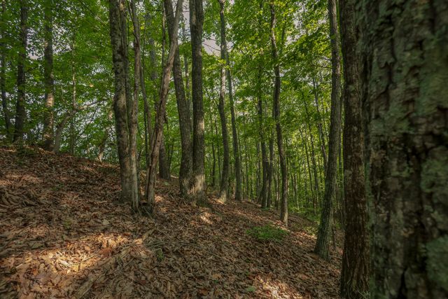 12315 Endless View, Soddy Daisy, TN 37379