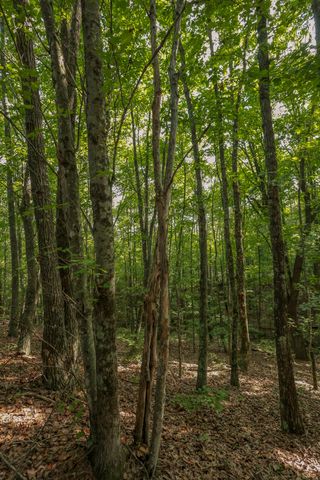 12315 Endless View, Soddy Daisy, TN 37379