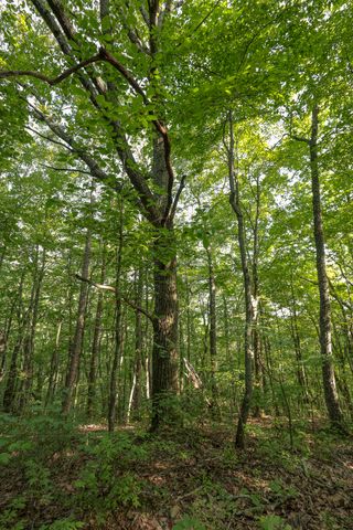 12315 Endless View, Soddy Daisy, TN 37379