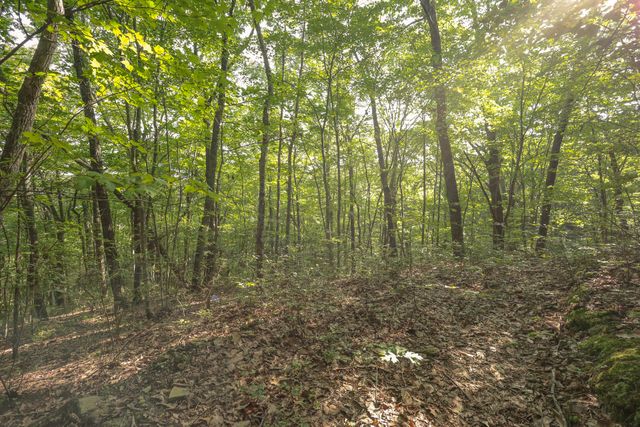 12315 Endless View, Soddy Daisy, TN 37379