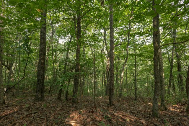 12315 Endless View, Soddy Daisy, TN 37379