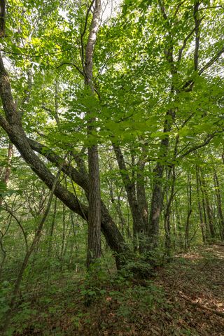 12315 Endless View, Soddy Daisy, TN 37379