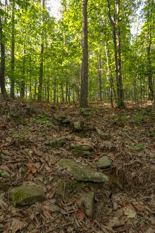12315 Endless View, Soddy Daisy, TN 37379